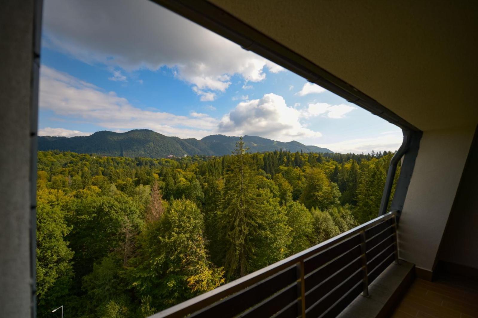 Elexus Apartments Poiana Brasov Eksteriør bilde